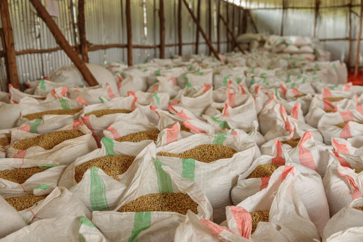 Woven bags of graded produce filled and open in a warehouse